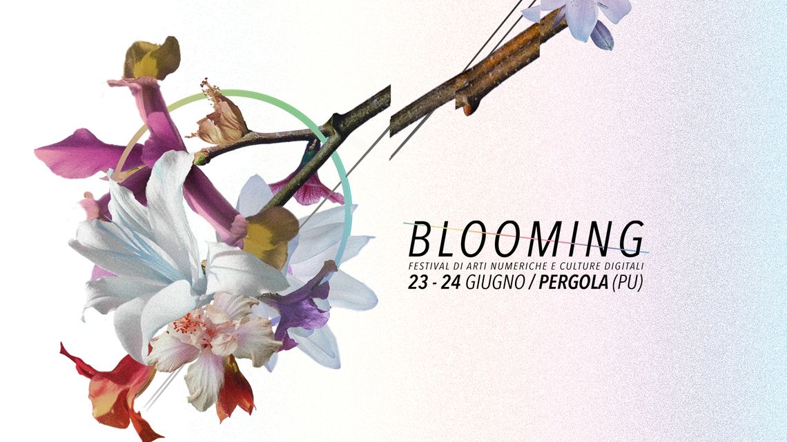 Blooming Festival 2017