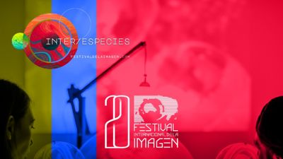 Image for: XX International Image Festival