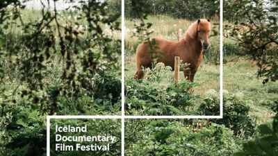 Iceland Documentary Film Festival