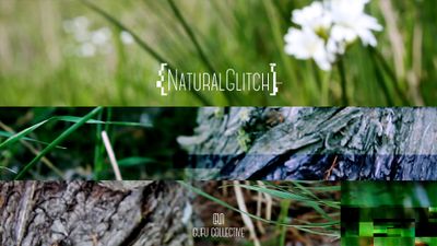 NaturalGlitch