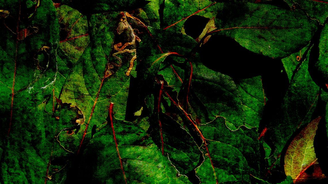 Horror-Grunge-Leaf-Texture-1