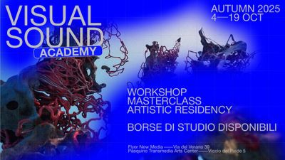 Image for: Open Call:  Visual Sound Academy 2025