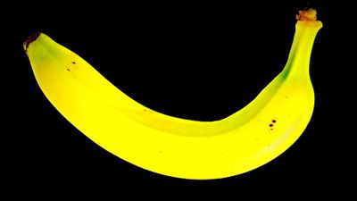 this is a banana