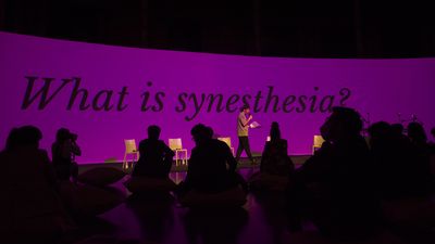 Symposium: What‌ ‌is‌ ‌synesthesia?
