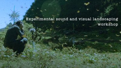 Experimental sound and visual landscaping