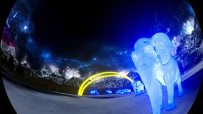 Light Party in Himalayan Zoo