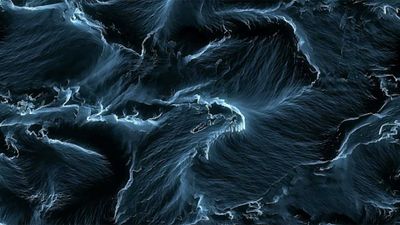 Tidal Echoes