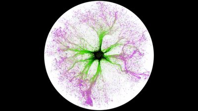 Genesis of the end  (NABA Fulldome Workshop)