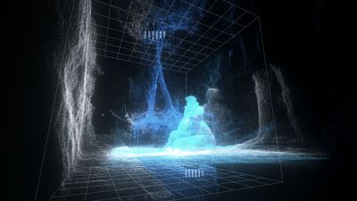 The Inner Singularity