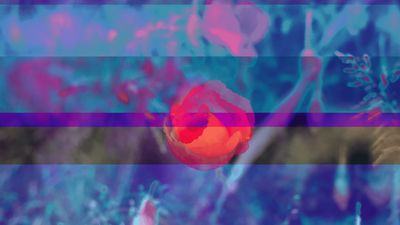 FLORÆ.exe