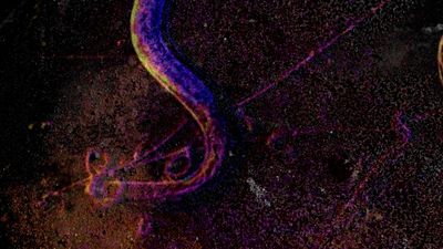 MYKORRHIZZA - RITUAL ERROR VJ/DJ