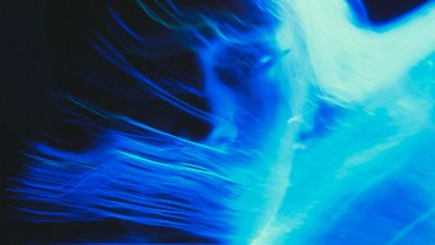 Bioluminescence - I dialetti della luce