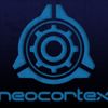 NEOCORTEX PROJECT