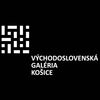Východoslovenská galéria Košice