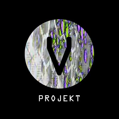 Projekt V